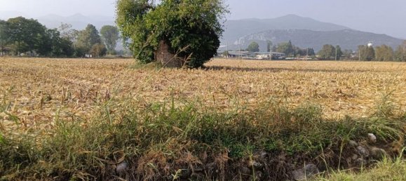  قطعة أرض في Prevalle, Italy 20000متر مربع رقم 230771 6