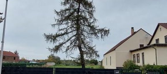 3450m² Land in Dahme-Spreewald, Germany No. 310934 5