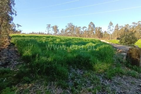 Terrain à Barcelos, Portugal No. 202222