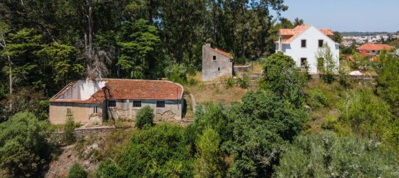 Terrain à Sintra, Portugal 1114m² No. 136307 16