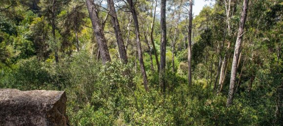 Terrain à Sintra, Portugal 1114m² No. 136307 24