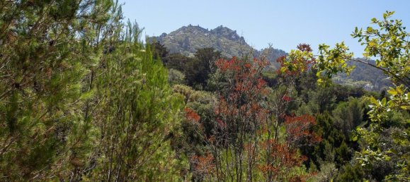 Terrain à Sintra, Portugal 1114m² No. 136307 20