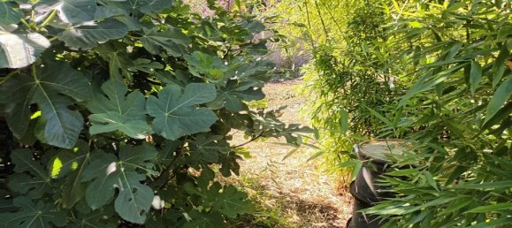 2 bedrooms House in La Rochelle, France No. 101327 10