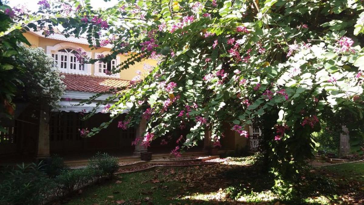 3 chambres Maison à Yucatan, Mexico No. 190018