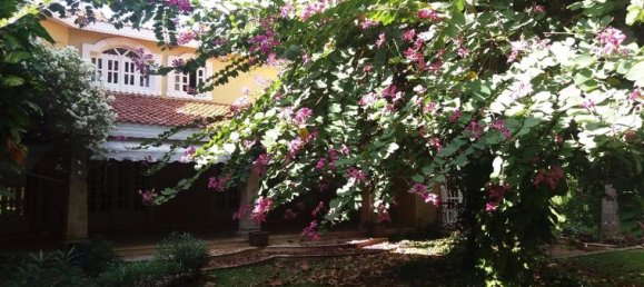 3 chambres Maison à Yucatan, Mexico No. 190018 2
