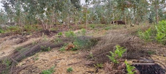 Terreno em Arcos de Valdevez, Portugal 3020 m² N.º 59449 2