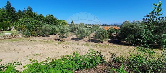 93m² Land in Nelas, Portugal No. 38378 2