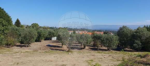 93m² Land in Nelas, Portugal No. 38378 5
