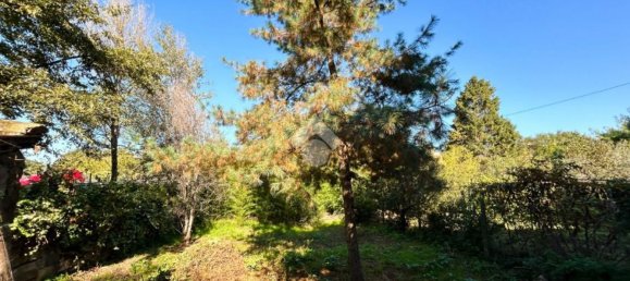 4 bedrooms Apartment in Vetralla, Italy No. 331842 12