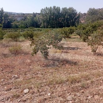 3665m² Land in Mirandela, Portugal No. 90488