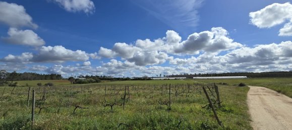 Terreno em Odeceixe, Portugal 50000 m² N.º 64667 41
