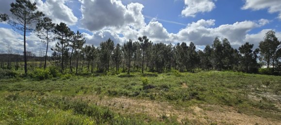 Terreno em Odeceixe, Portugal 50000 m² N.º 64667 12