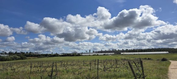 Terreno em Odeceixe, Portugal 50000 m² N.º 64667 49