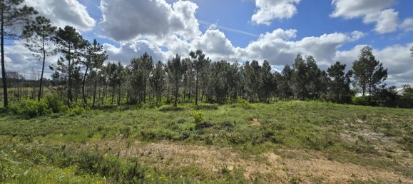 Terreno em Odeceixe, Portugal 50000 m² N.º 64667 13
