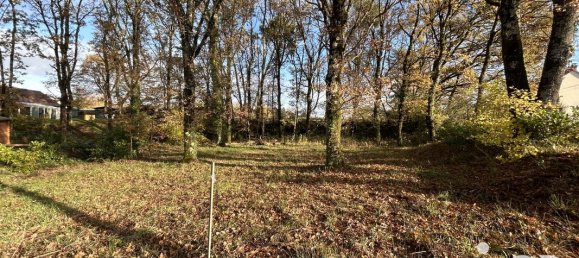1480m² Land in Romorantin-Lanthenay, France No. 159729 4