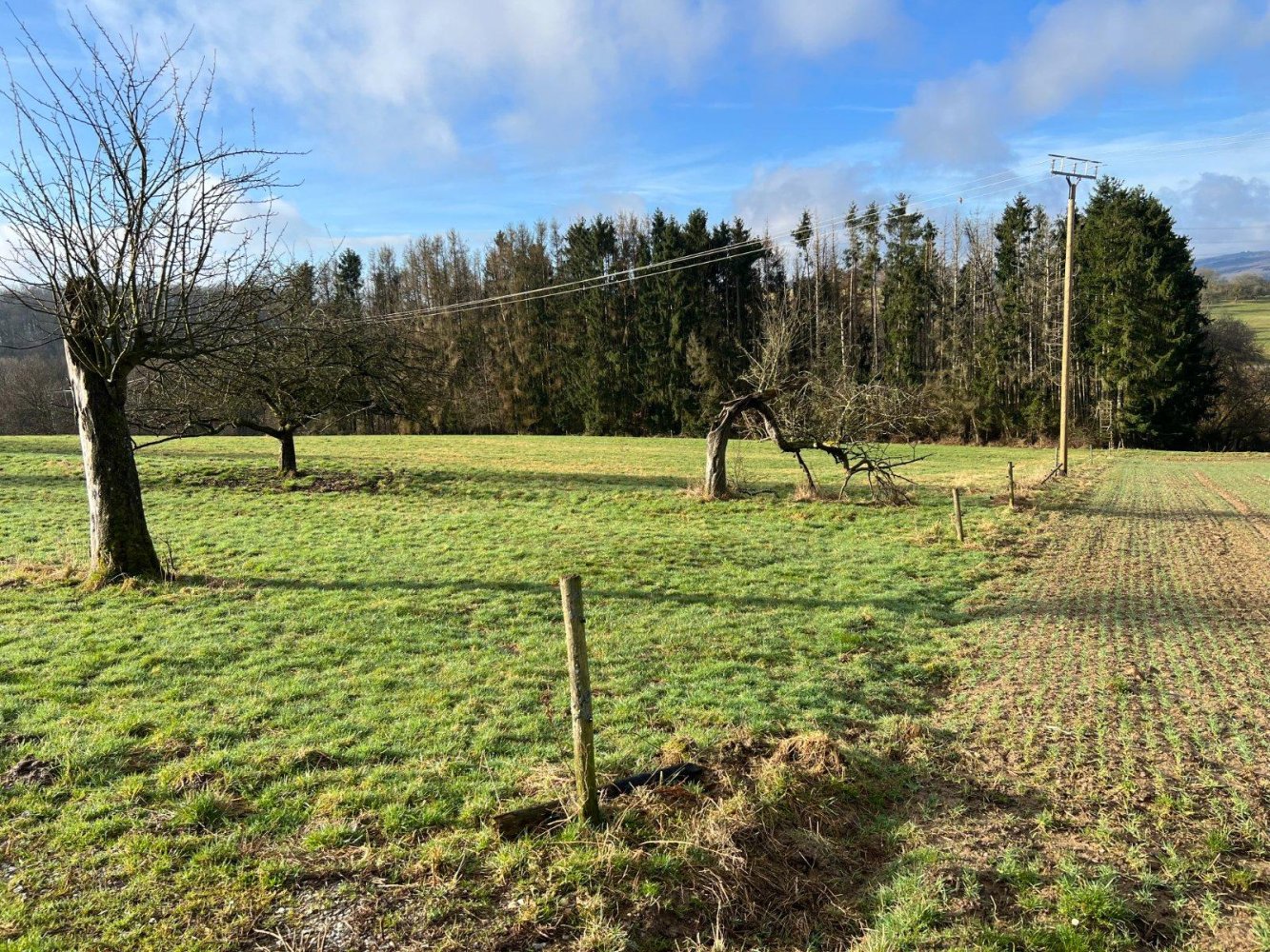 Terreno em Rheingau-Taunus, Germany N.º 340734