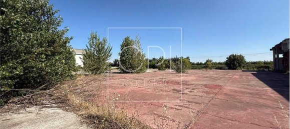 5 rooms Warehouse in Alessandria, Italy No. 264296 10