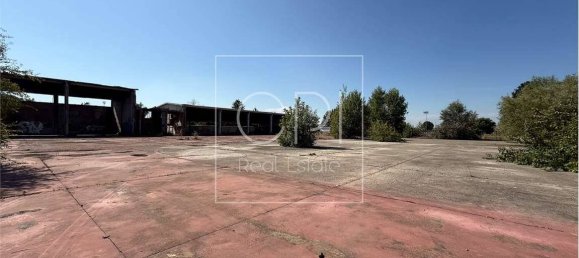 5 rooms Warehouse in Alessandria, Italy No. 264296 18