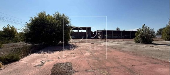 5 rooms Warehouse in Alessandria, Italy No. 264296 17