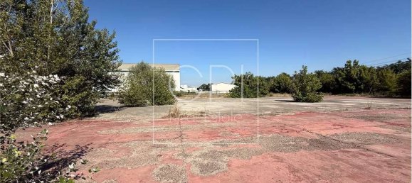 5 rooms Warehouse in Alessandria, Italy No. 264296 15