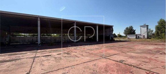 5 rooms Warehouse in Alessandria, Italy No. 264296 12