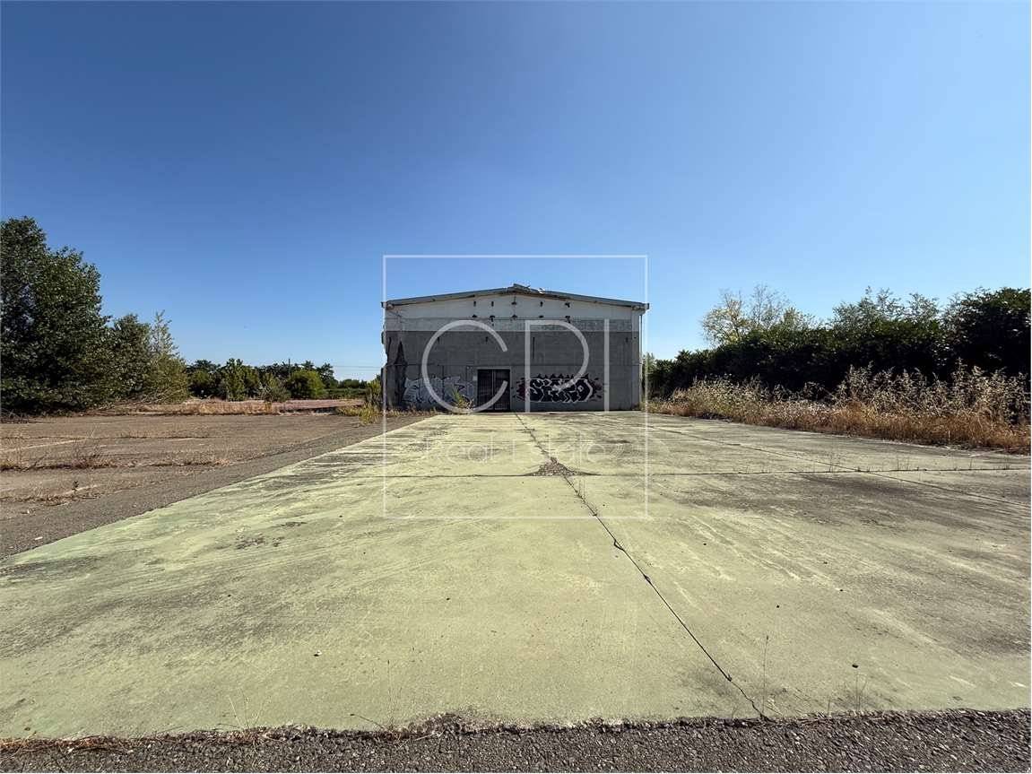 5 rooms Warehouse in Alessandria, Italy No. 264296