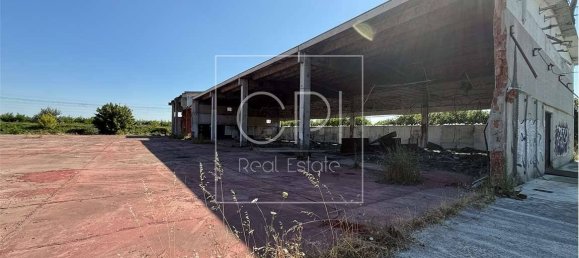 5 rooms Warehouse in Alessandria, Italy No. 264296 11