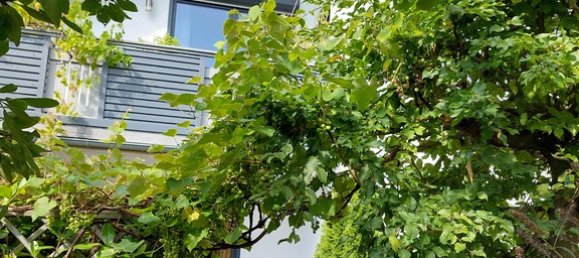 7 rooms Building in Rhein-Sieg, Germany No. 295965 5