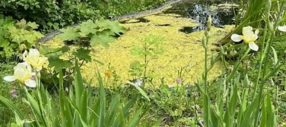 15-Zimmer Villa in Lahn-Dill, Germany, Nr. 219337 34