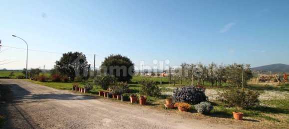 2 bedrooms Apartment in Capalbio, Italy No. 157156 20