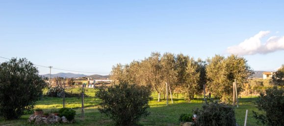 2 bedrooms Apartment in Capalbio, Italy No. 157156 18