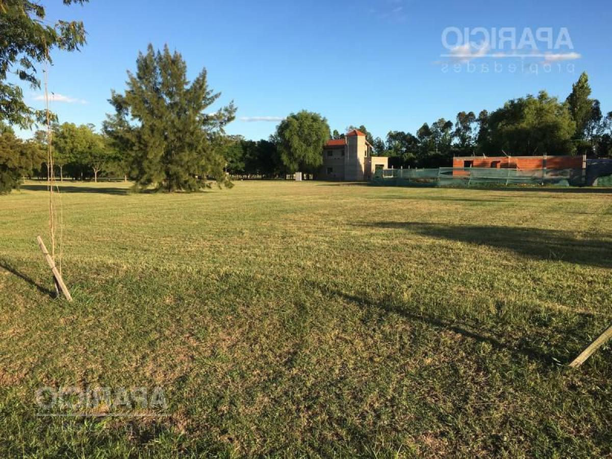  Land in Campo Creado, Argentina No. 117498