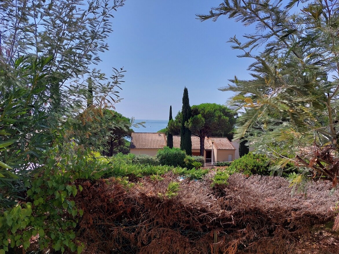 Studio in Sainte-Maxime, France, Nr. 319595