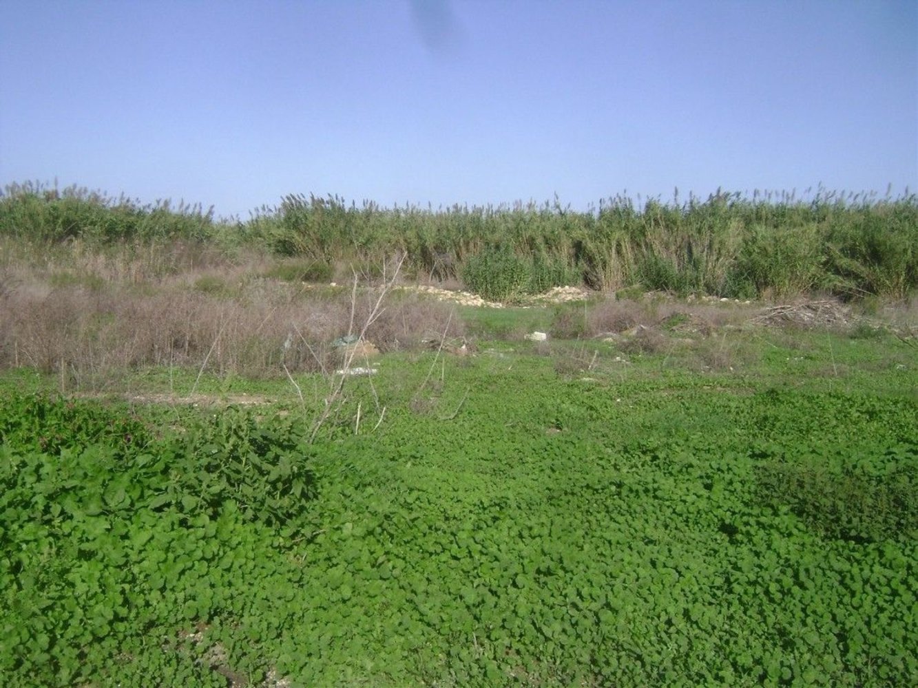  قطعة أرض في Pachino, Italy 26000متر مربع رقم 62245