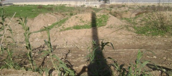 قطعة أرض في Pachino, Italy 26000متر مربع رقم 62245 10