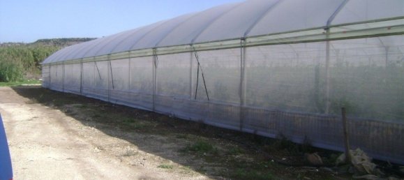 قطعة أرض في Pachino, Italy 26000متر مربع رقم 62245 13