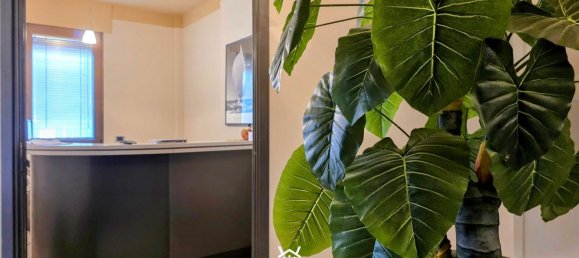 Büro in Mondovì, Italy 230m², Nr. 381329 4