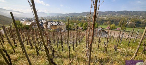 Terreno em Bernkastel-Wittlich, Germany N.º 287683 7