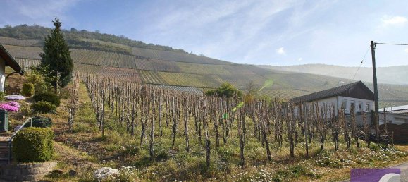 Terreno em Bernkastel-Wittlich, Germany N.º 287683 2