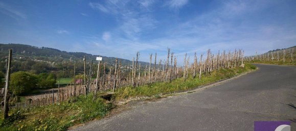 Terreno em Bernkastel-Wittlich, Germany N.º 287683 5