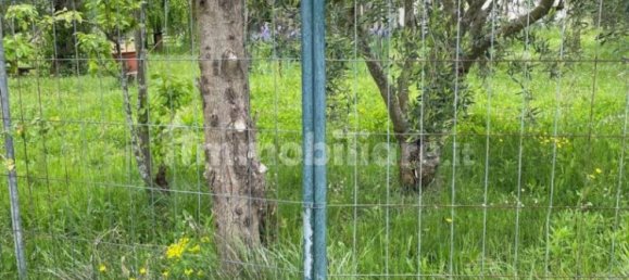 3 chambres Villa à Terricciola, Italy No. 135870 7