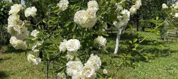 3 chambres Villa à Terricciola, Italy No. 135870 8