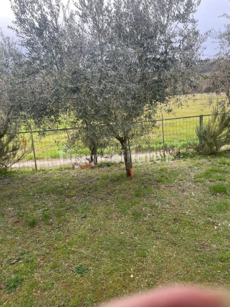 3 chambres Villa à Terricciola, Italy No. 135870