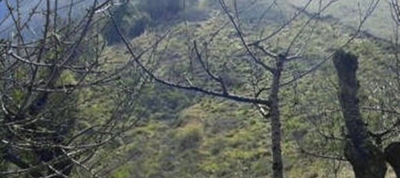 42289m² Land in Tregnago, Italy No. 324848 2