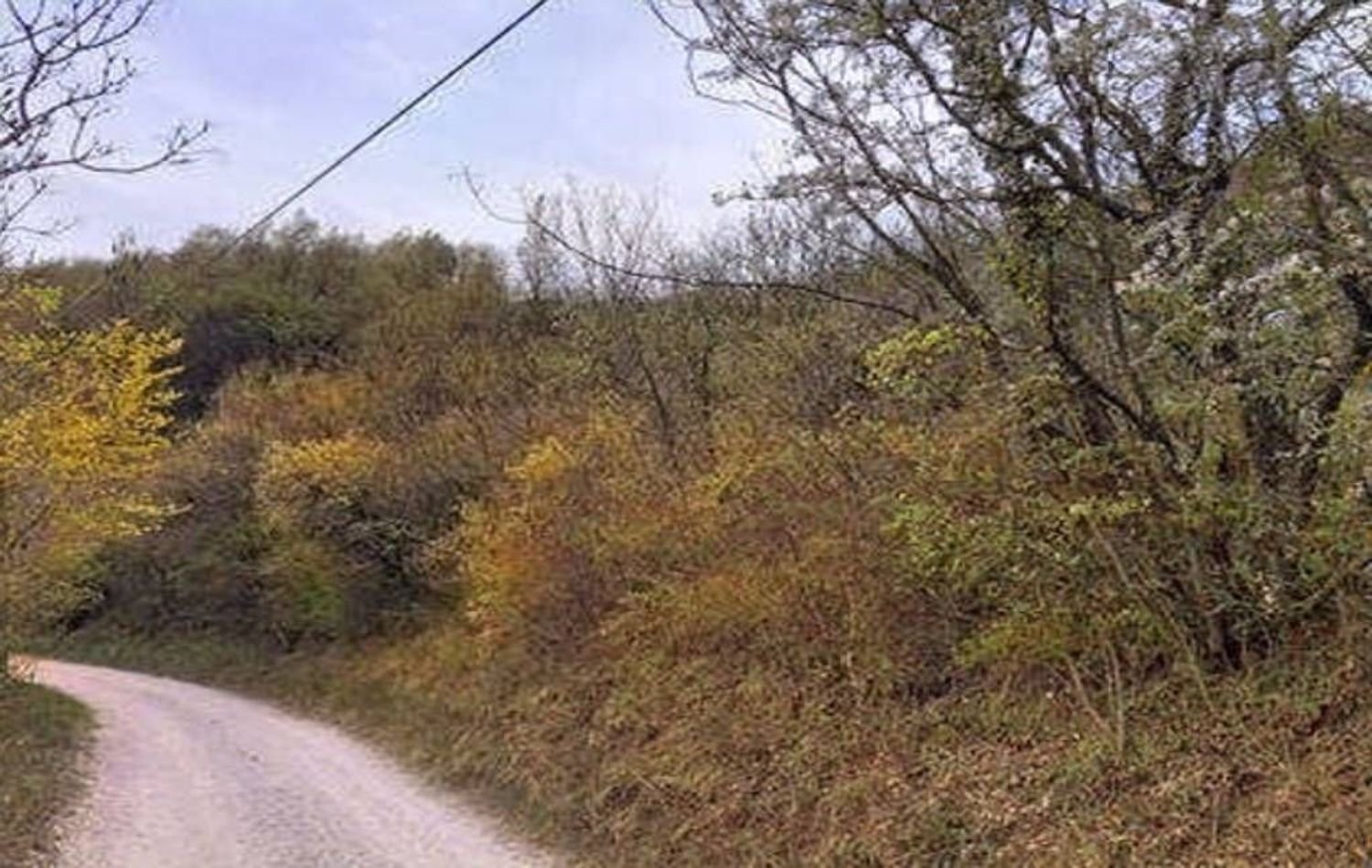 42289m² Land in Tregnago, Italy No. 324848