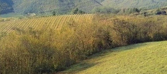 42289m² Land in Tregnago, Italy No. 324848 4