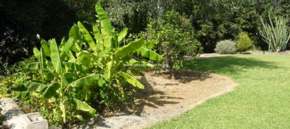 4 chambres Maison à Daya Nueva, Spain No. 132711 4