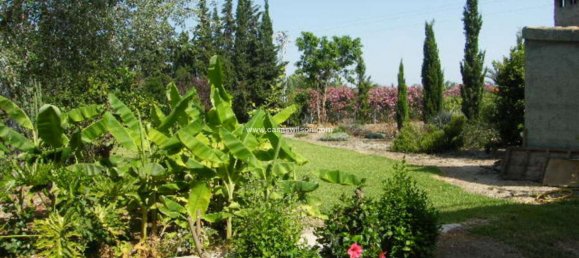 4 chambres Maison à Daya Nueva, Spain No. 132711 9