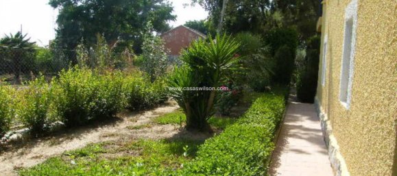 4 chambres Maison à Daya Nueva, Spain No. 132711 7