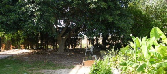 4 chambres Maison à Daya Nueva, Spain No. 132711 5